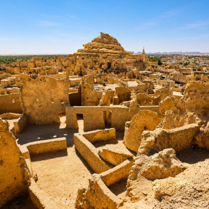 Ancient desert village and citadel ruins