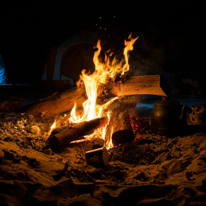 Cozy campfire under a starry night