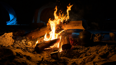 Cozy campfire under a starry night