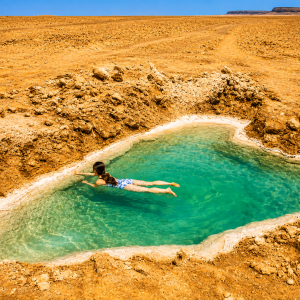 Desert oasis in a sunlit expanse