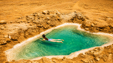 Desert oasis in a sunlit expanse
