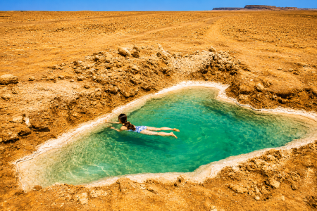 Desert oasis in a sunlit expanse