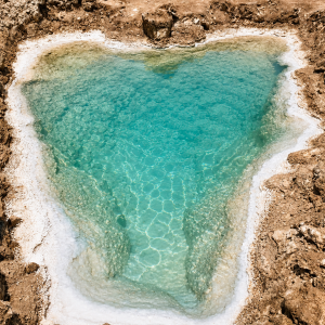 Desert oasis with turquoise waters