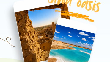 Siwa Oasis vs White Desert