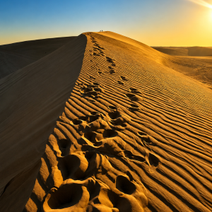 Golden desert dunes at sunrise