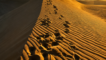 Golden desert dunes at sunrise