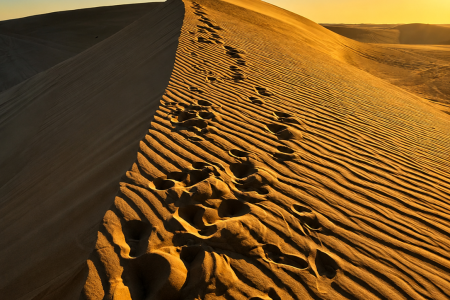 Golden desert dunes at sunrise