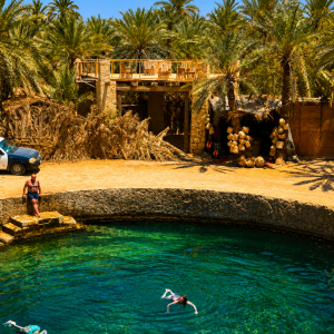 Oasis retreat with emerald waters