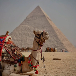 Pyramids 1