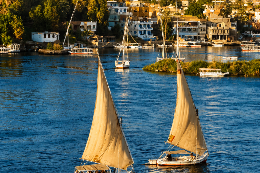 Full Day Tour in Aswan