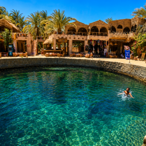 Tropical oasis café by the pool