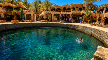 Tropical oasis café by the pool