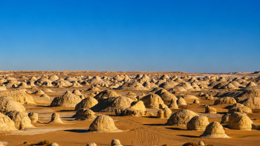 Vast desert with hoodoos and tire tracks