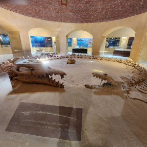 Wadi El Hitan 13