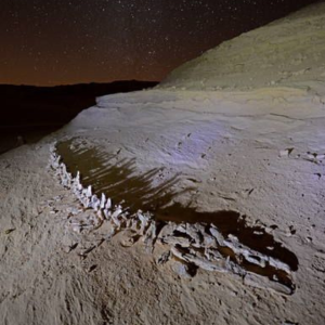 Wadi El Hitan 2