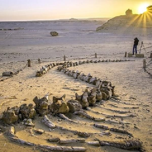 One Day Fayoum Tour from Cairo