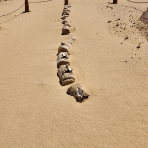 Wadi El Hitan