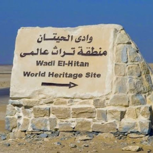 Wadi El Hitan 6