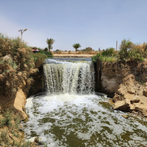 Wadi El Rayan 11