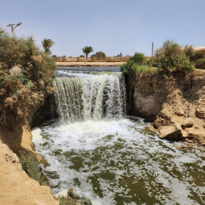 Wadi El Rayan 12