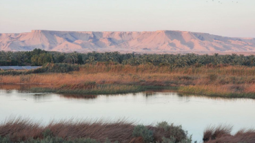 bahariya oasis from cairo